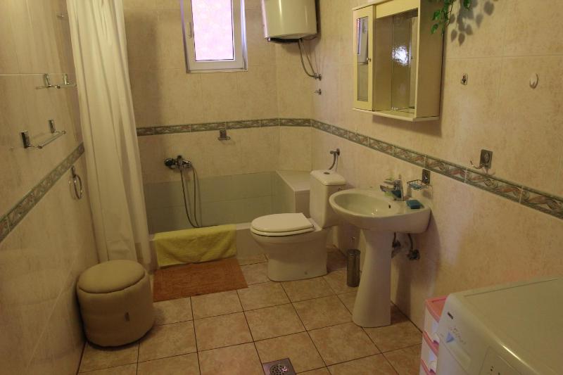 Deluxe Apartment image 3