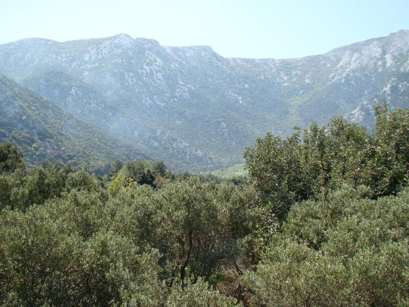 Apartment with Mountain View image 1