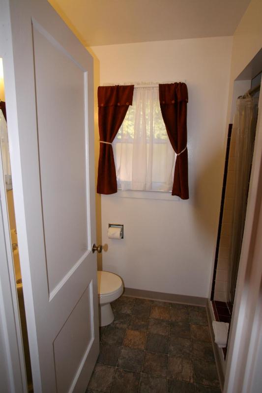 Deluxe King Suite image 4