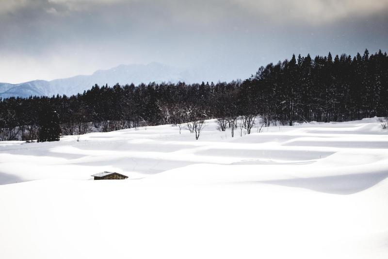 Hakuba Cortina Lodge - image 37