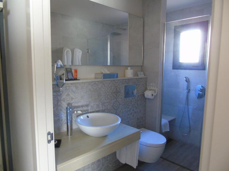 Double or Twin Room image 4