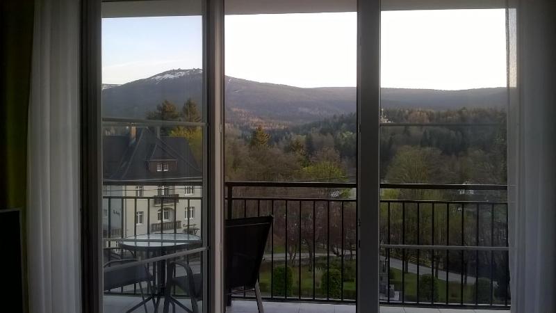 Villa Mountain View Apartamenty - image 42
