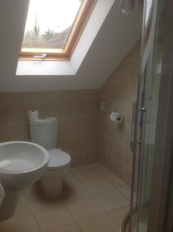 Standard Twin Room image 3