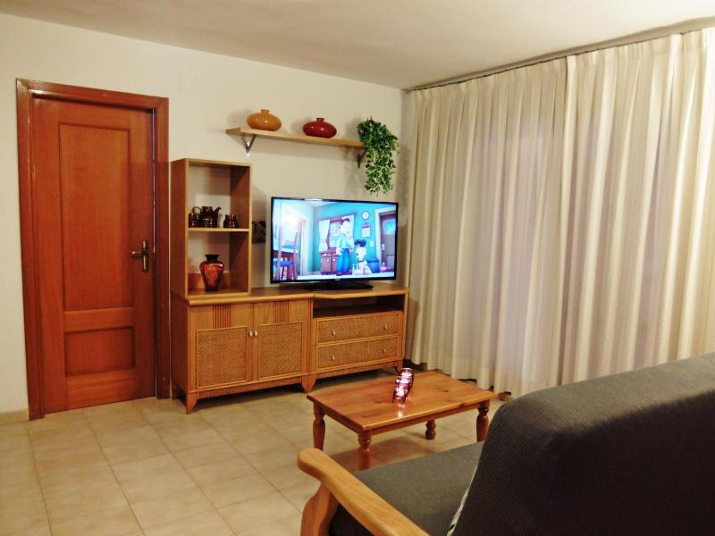 LOS IRIS PLAYA DE GANDIA- Apartamento Familiar - image 35