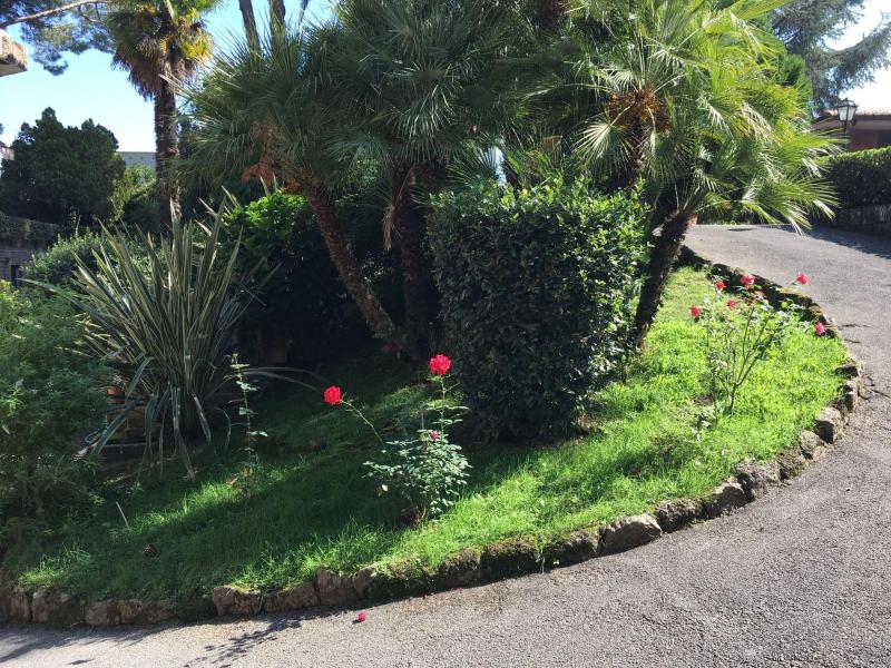 Apartment with Garden View image 4