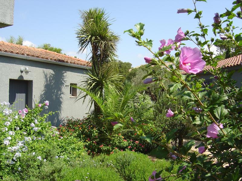 Mini Villa (5 Adults) image 2