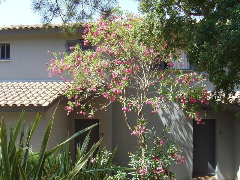 Two-Bedroom Villa image 3