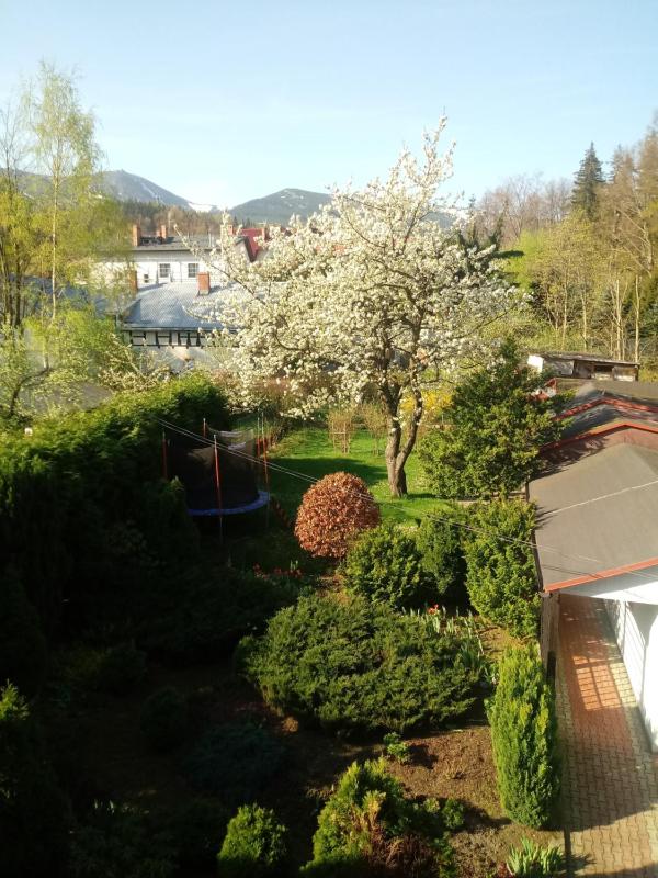 ApartamentVanessa - image 11