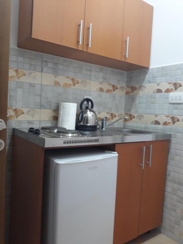 One-Bedroom Apartment (4 Adults) image 4
