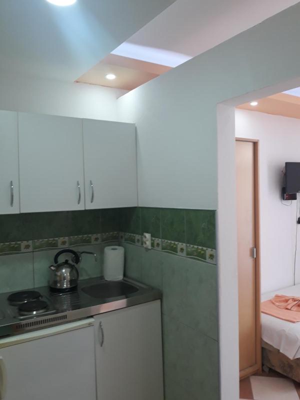 One-Bedroom Apartment (4 Adults) image 2