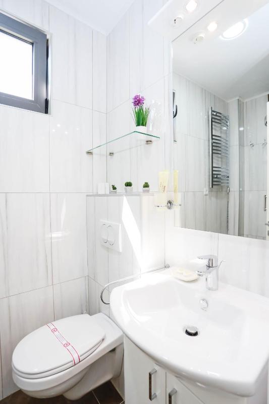 Two-Bedroom Apartment image 4