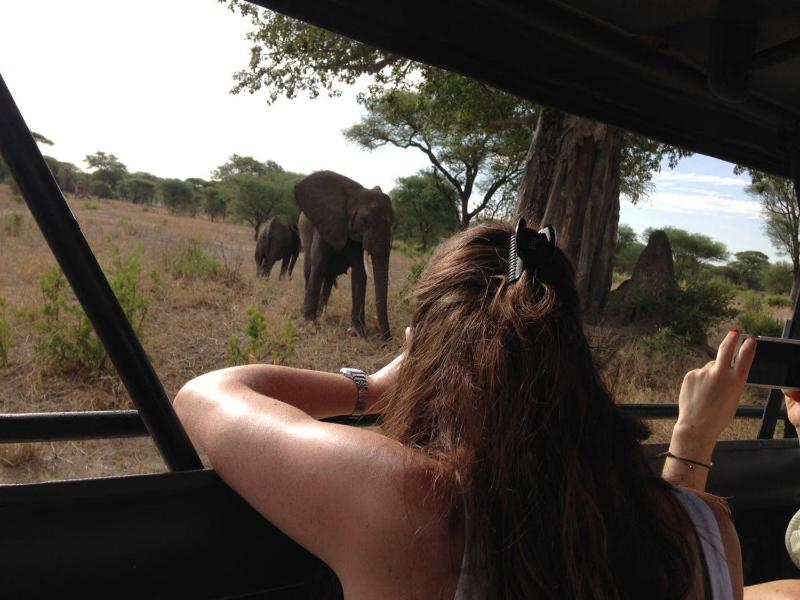 Bed in 4-Bed Dormitory Room