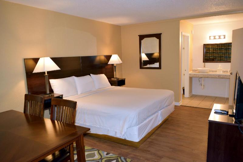 Deluxe King Suite image 2