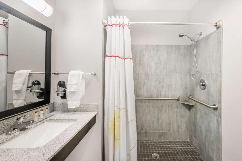 1 King Bed, Mobility/Mobility Accessible Suite, Roll-In Shower, Non-Smoking image 3