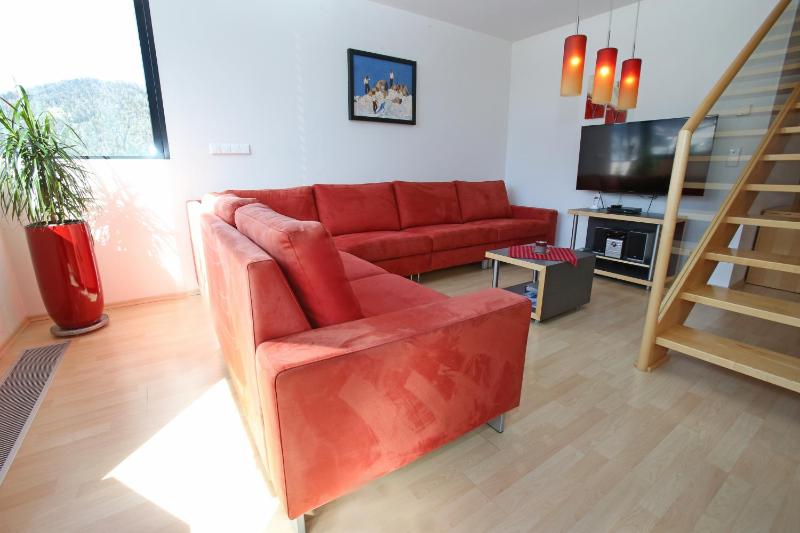 Apartment - Split Level image 2