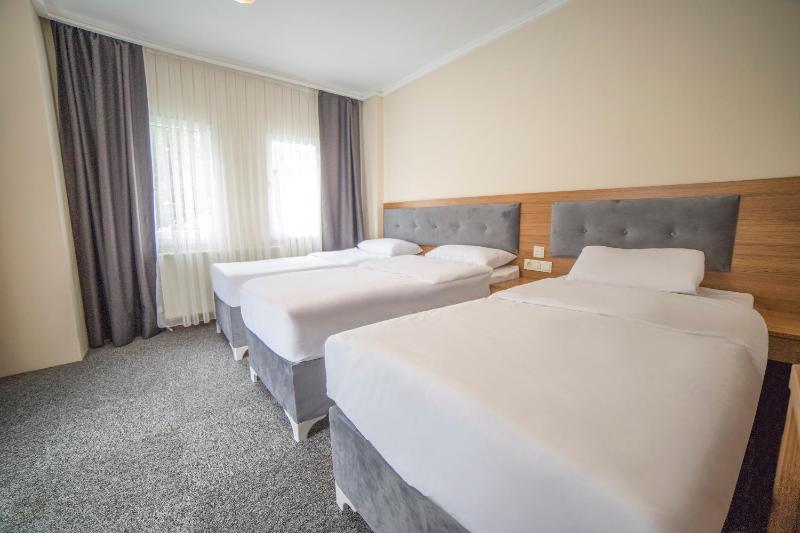 Triple Room with Mountain View image 2