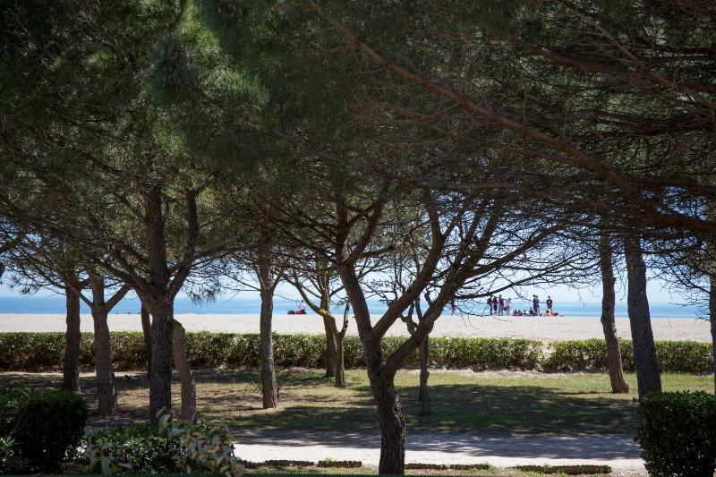 Grand Hôtel Du Lido - sur la plage d'Argèles - image 29