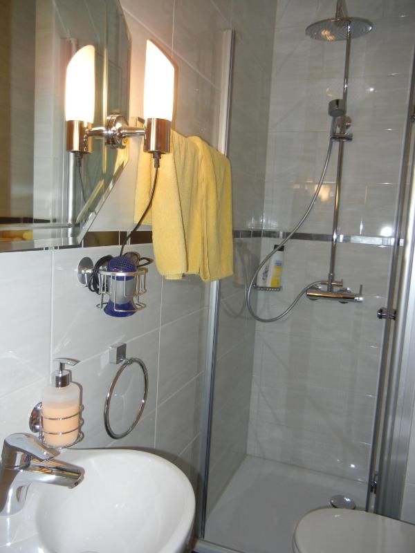 One-Bedroom Apartment image 3