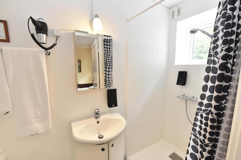 Single Room image 2