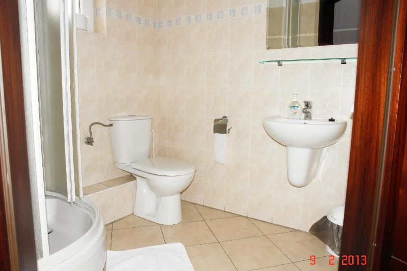 Double or Twin Room image 3