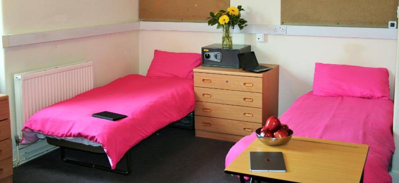Standard Twin Room image 2
