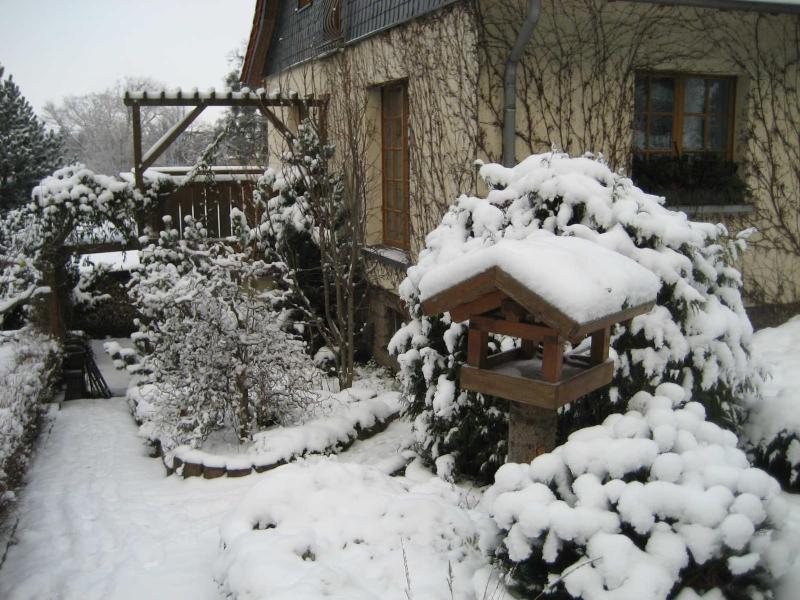 Ferienwohnung Am Lustgarten - image 19