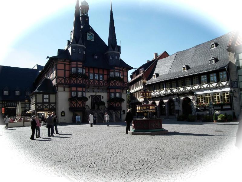 Ferienwohnung Am Lustgarten - image 9