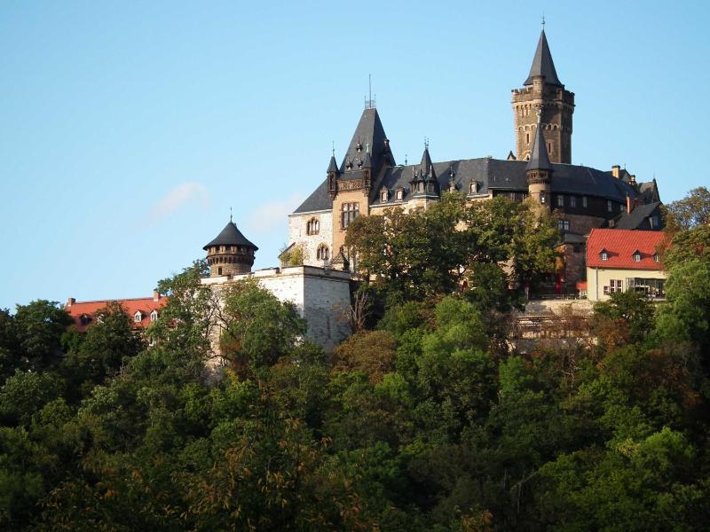 Ferienwohnung Am Lustgarten - image 14