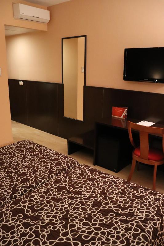 Double or Twin Room image 4