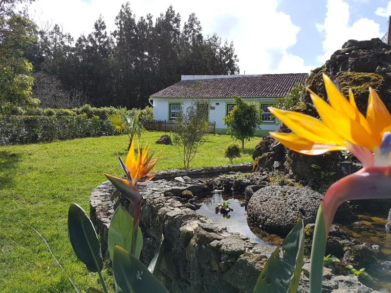 One-Bedroom Holiday Home image 1
