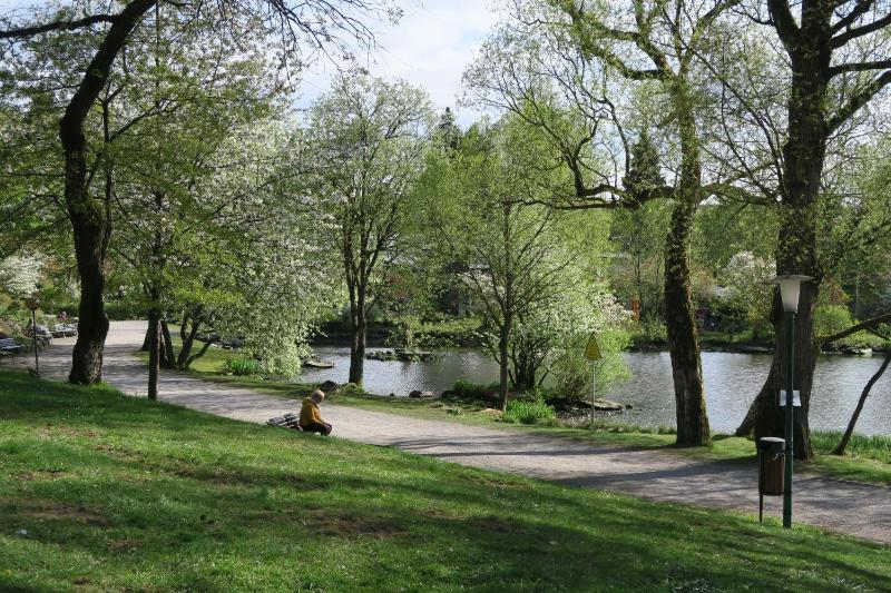 Harzgenuß - image 20
