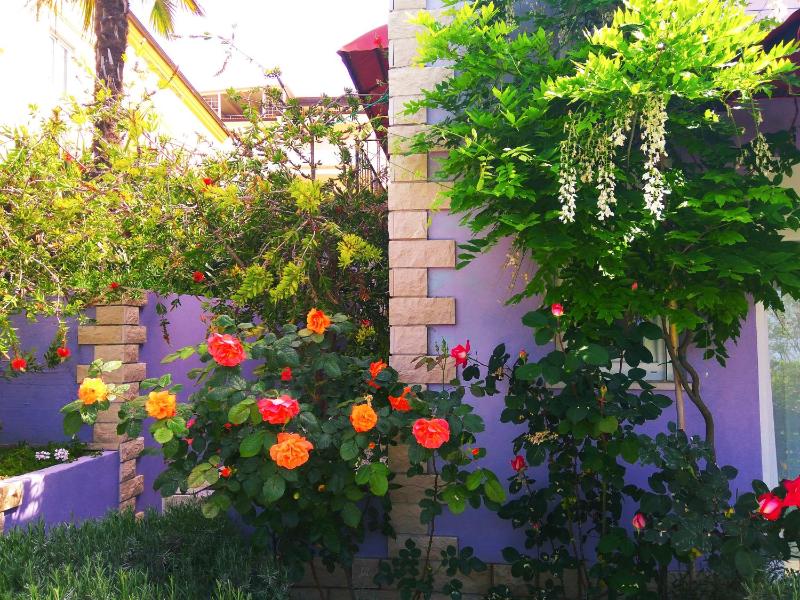 Studio with Garden View image 2