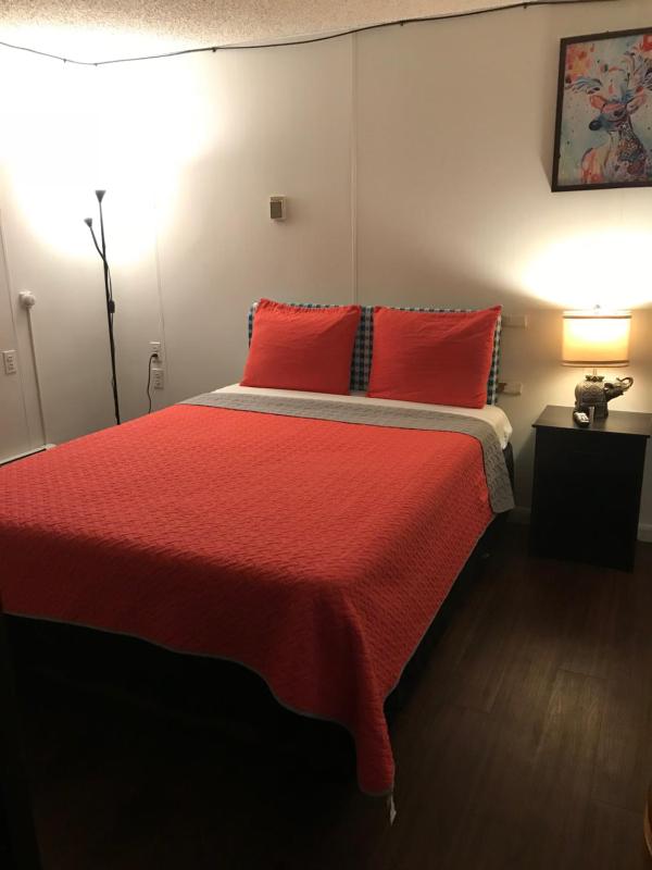 Economy Single Room image 2