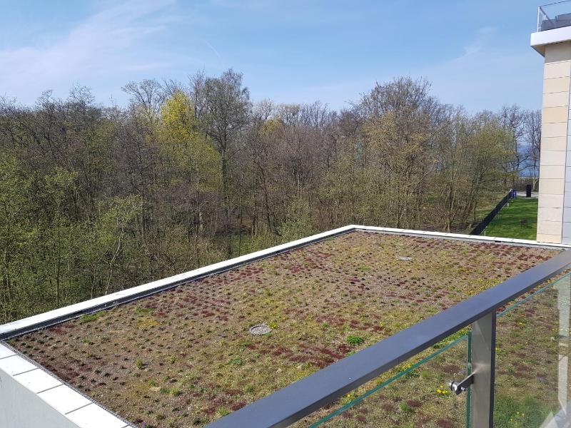 Apartament prywatny 327 w Diune Resort - image 41