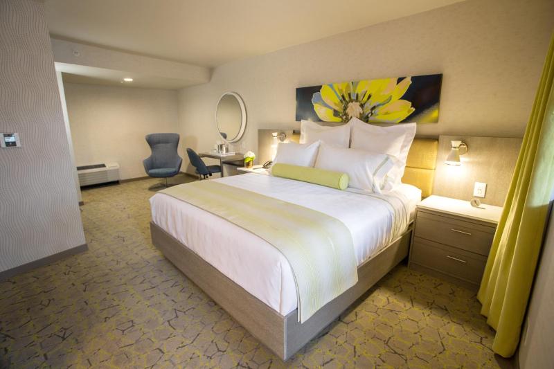 King Room with Pool View - Disability Access