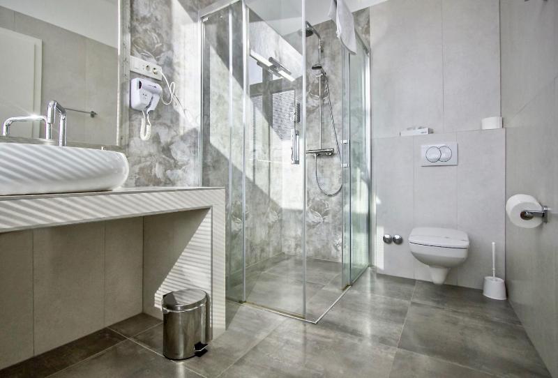 Deluxe Luxury Suite image 4