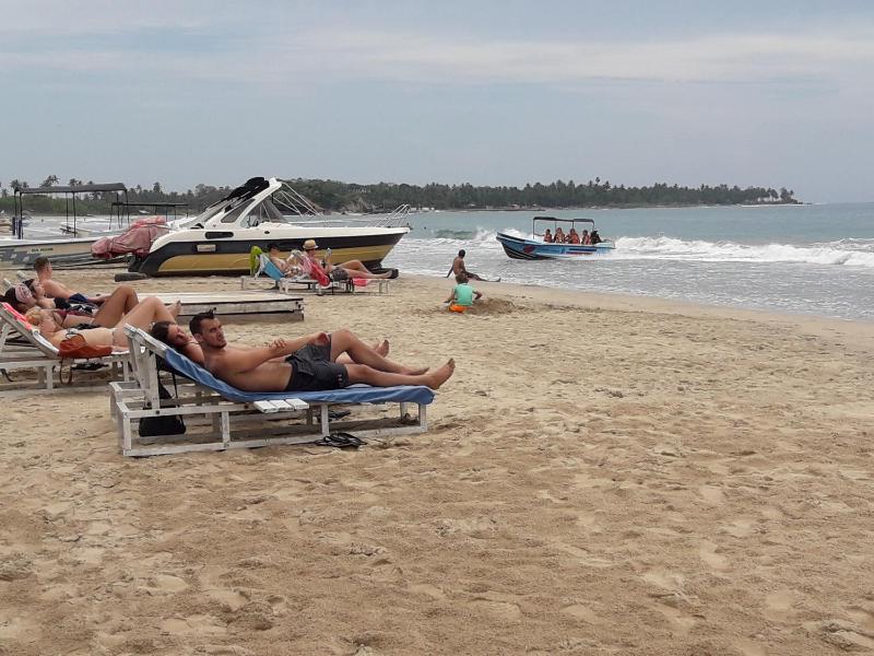 Surf reef beach - image 22