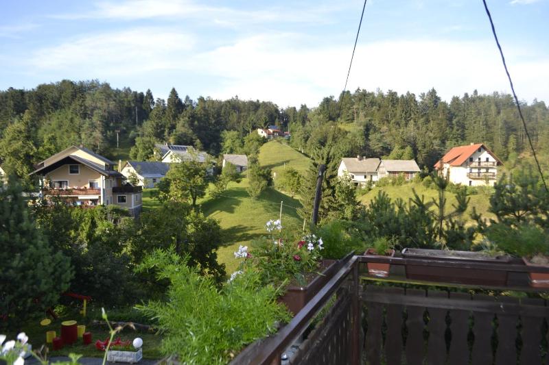 Family Room with Balcony and Mountain View  image 2