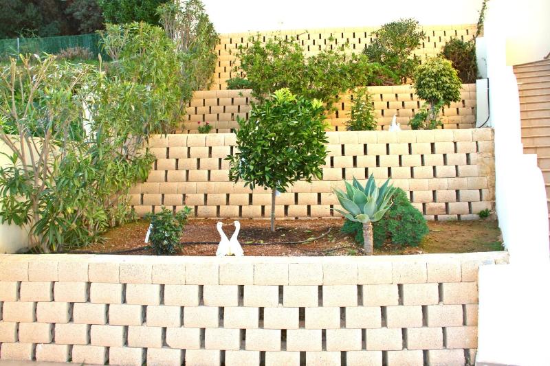 Maryvilla 1220 - image 42