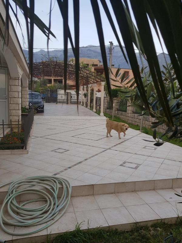Holiday Home Celuga - image 4