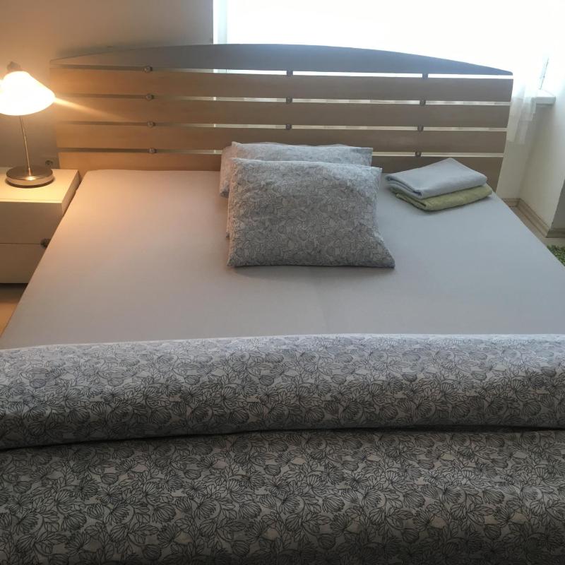 One-Bedroom Apartment image 1