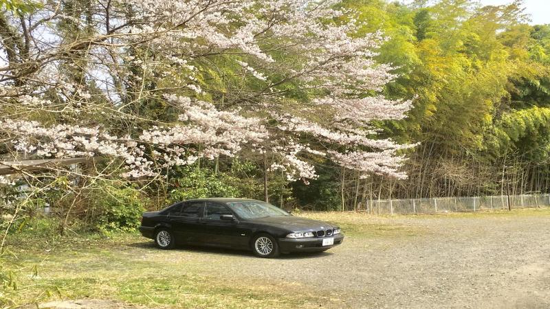 コンドミニアム スクウェアヒルズ 当日 直前割で格安予約 Cansell コンドミニアム スクウェアヒルズ 当日 直前割で格安予約 Cansell