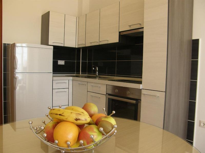 One-Bedroom Apartment image 2
