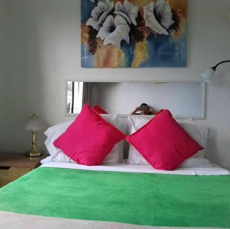 Casa Echavarria - image 6