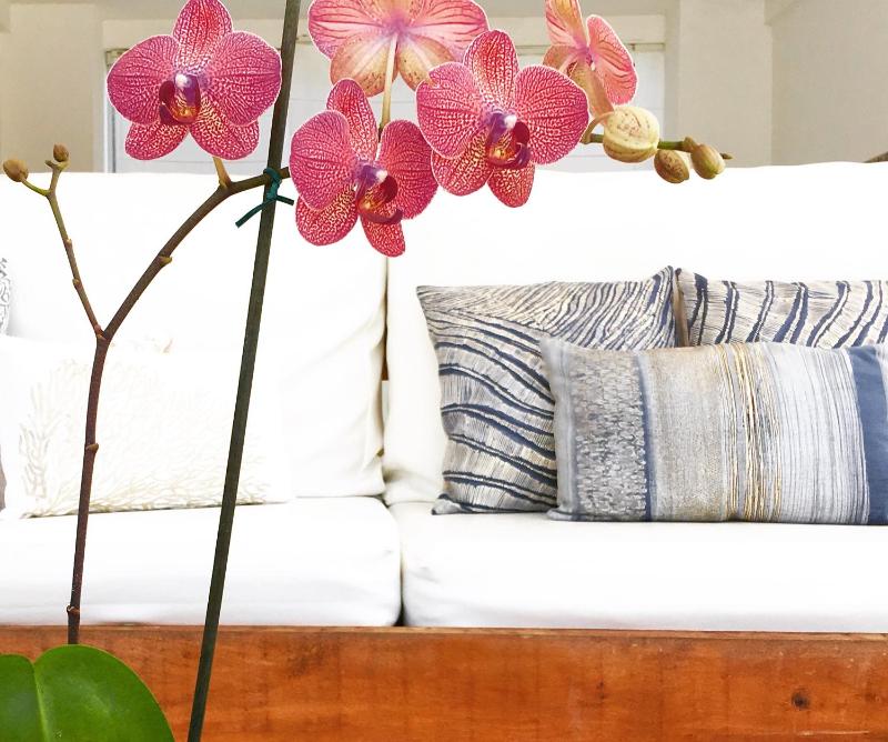 Blanc Residence - image 22