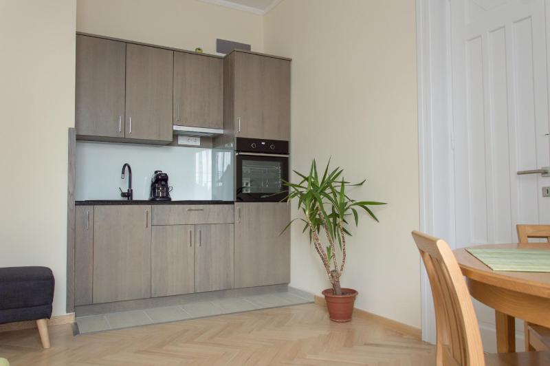 One-Bedroom Apartment image 3