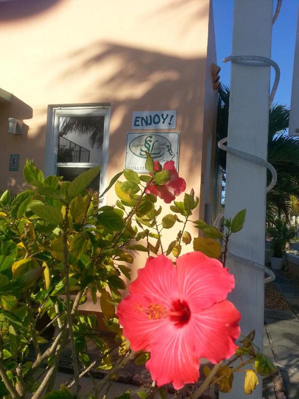 Atlantic Sands Beach Suites - image 20