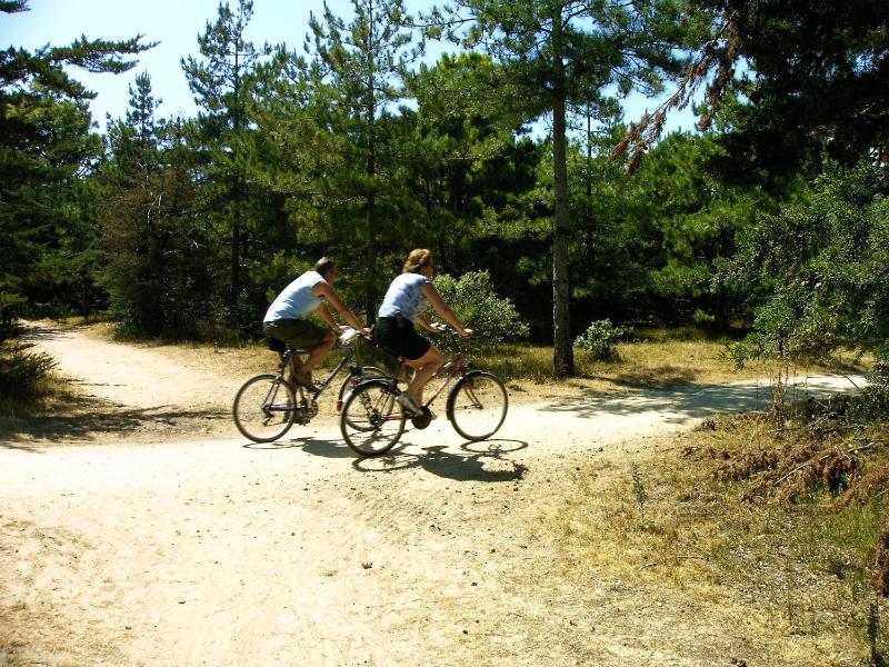 Camping La Forêt - image 39
