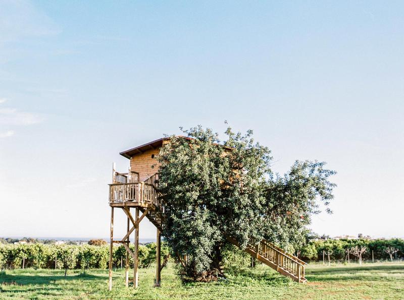 Tree House image 3