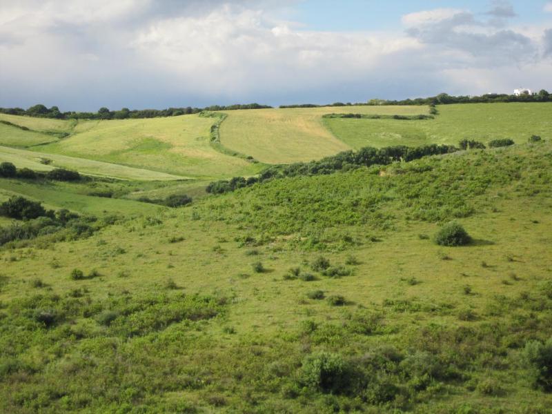 Junior Suite image 3